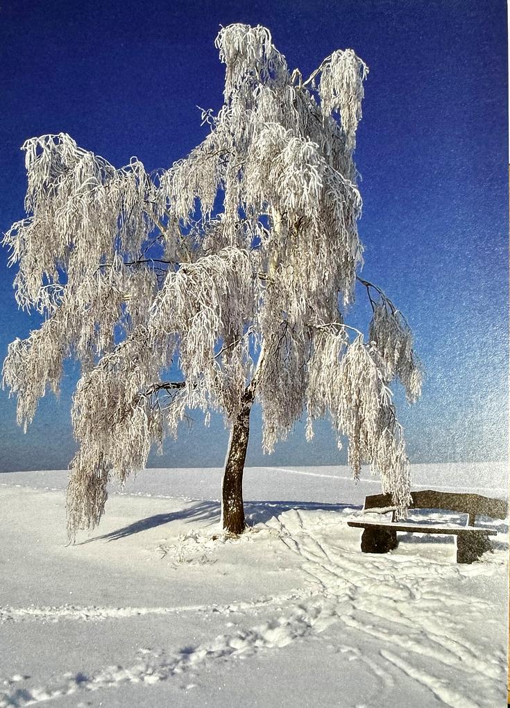 Collagebild 1