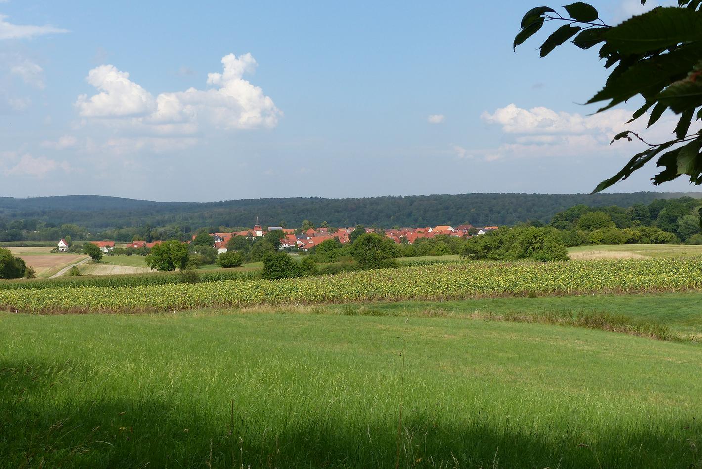Collagebild 1