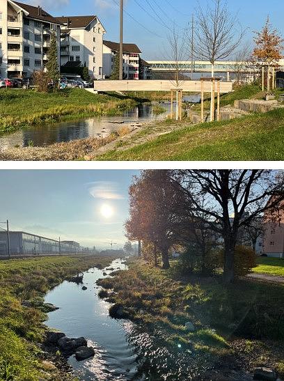 Collage image 1
