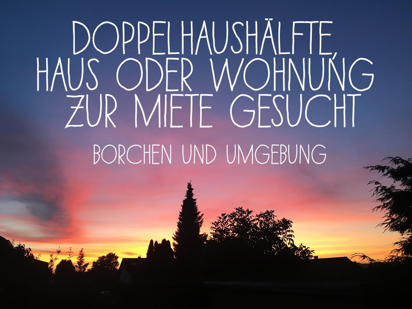 Bild im Zusammenhang mit dem Beitrag