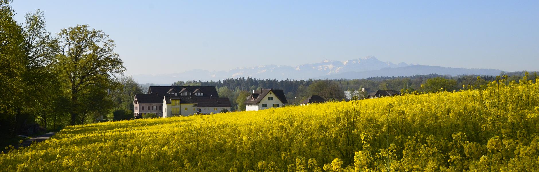 Hefenhofen