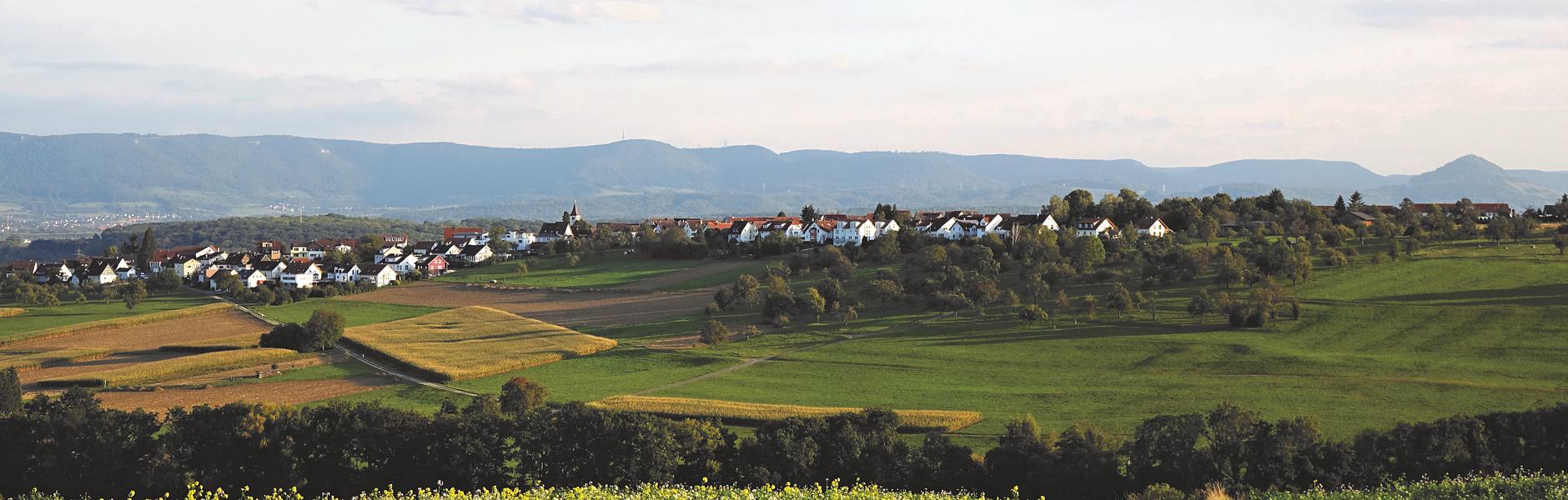 Altenriet