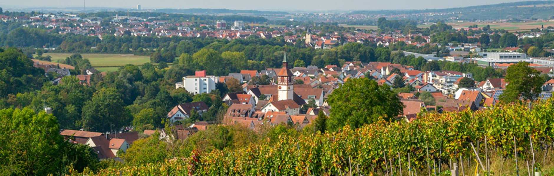 Steinheim an der Murr