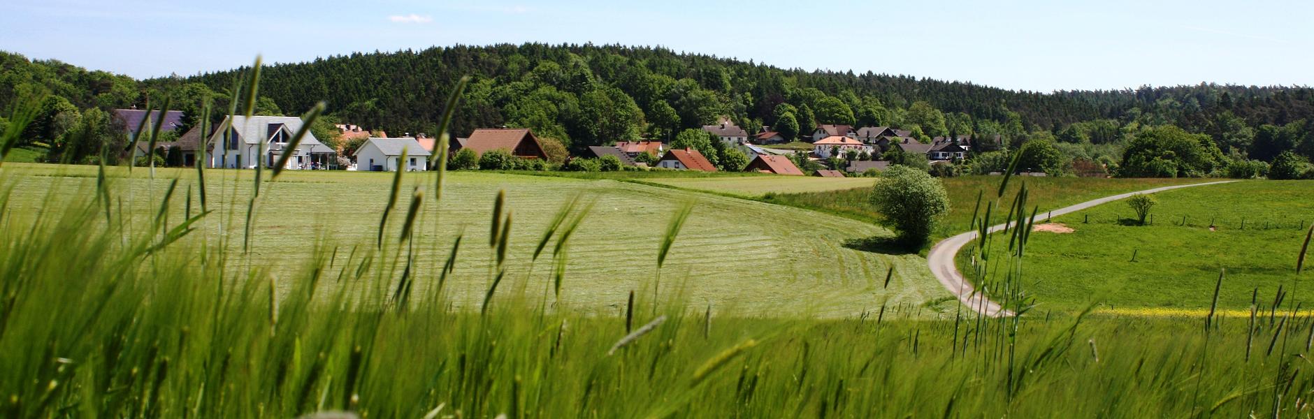 Burgwald