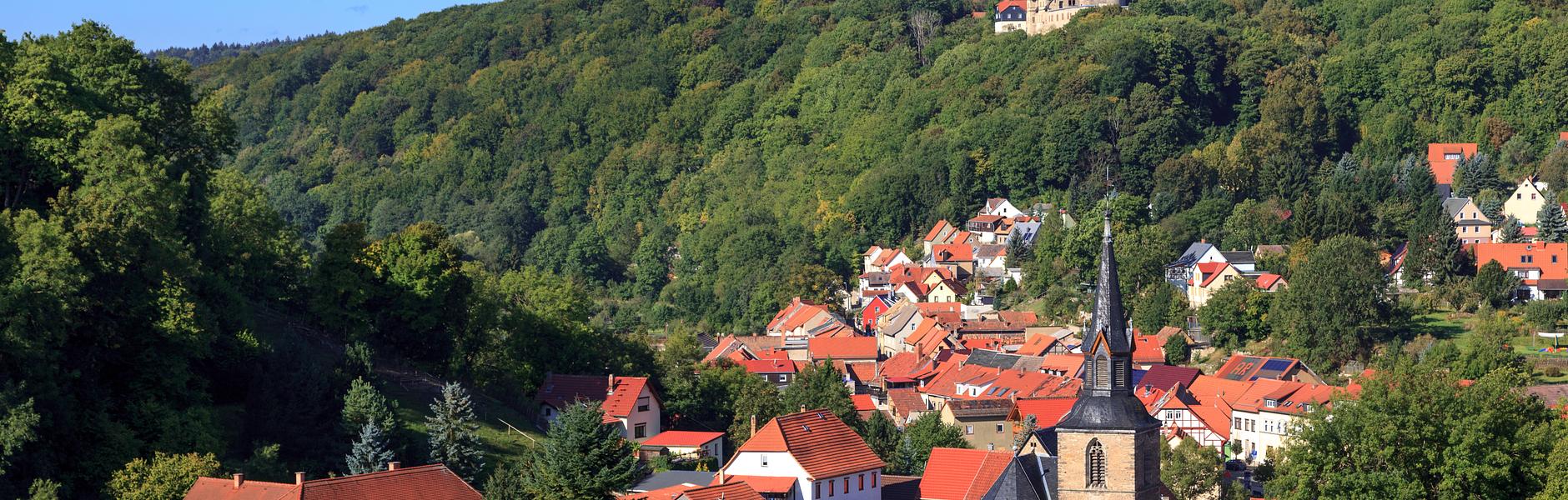 Kranichfeld