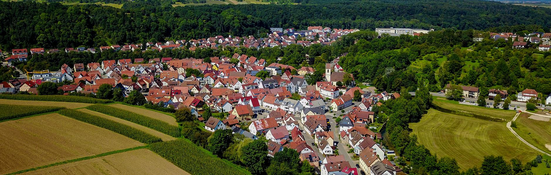 Neckartenzlingen