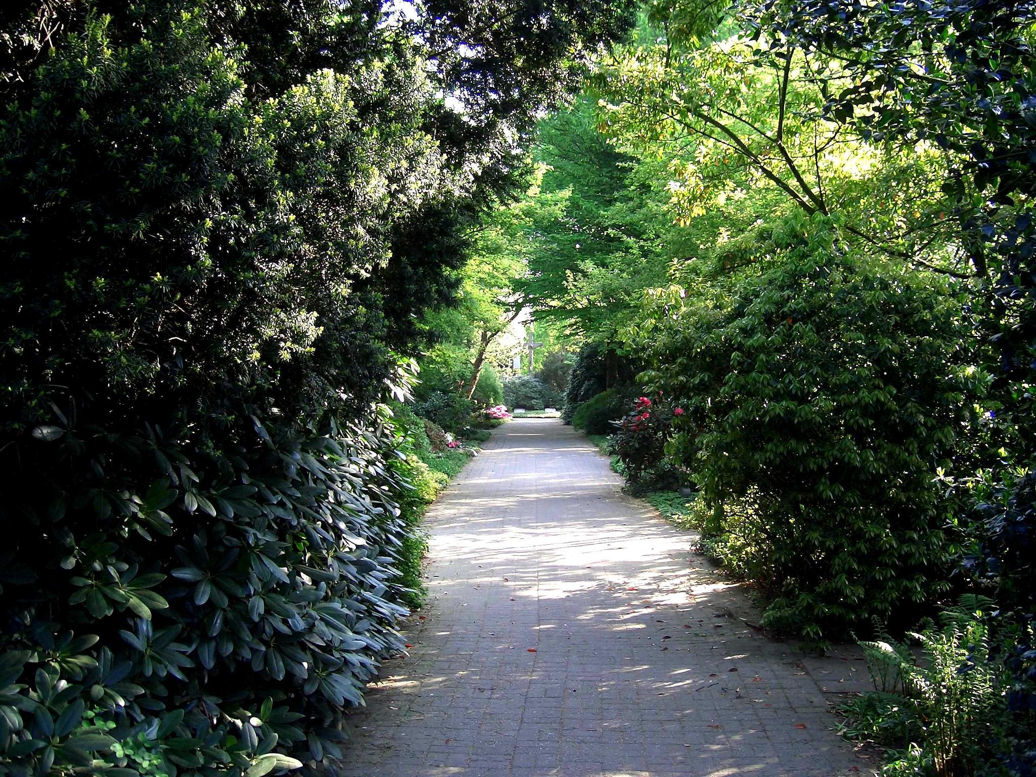 Wegesanierung auf dem Friedhof beginnt ab Montag