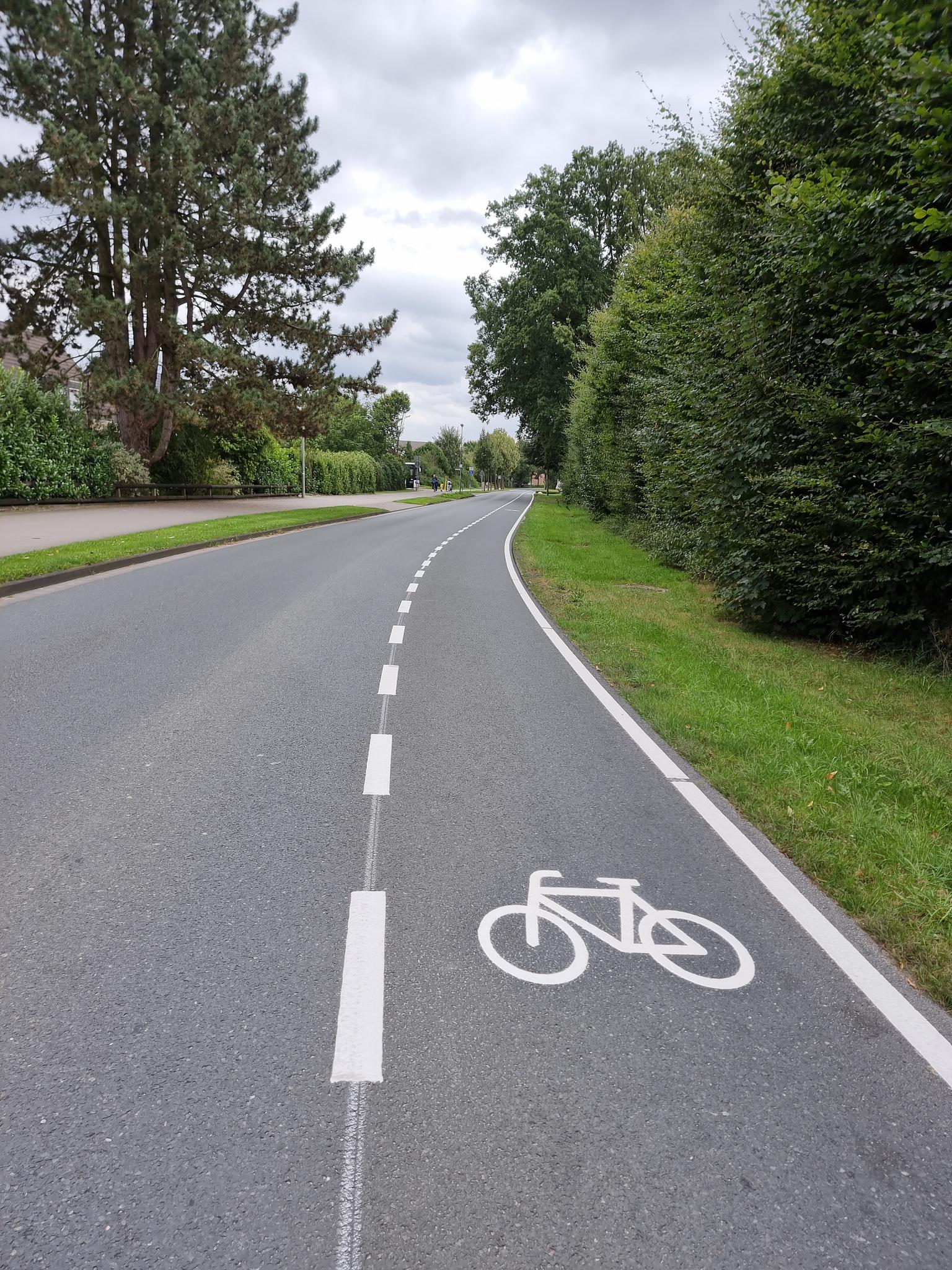 Verkehrssicherung auf der Münsterstraße - neue Radverkehrsführung