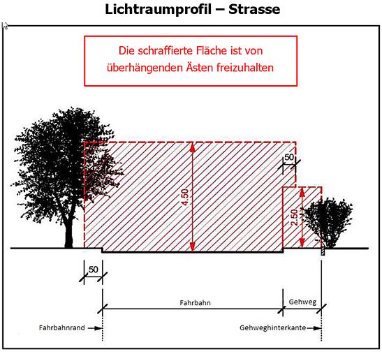Merkblatt Gall - Lichtraumprofil und Baumabstände