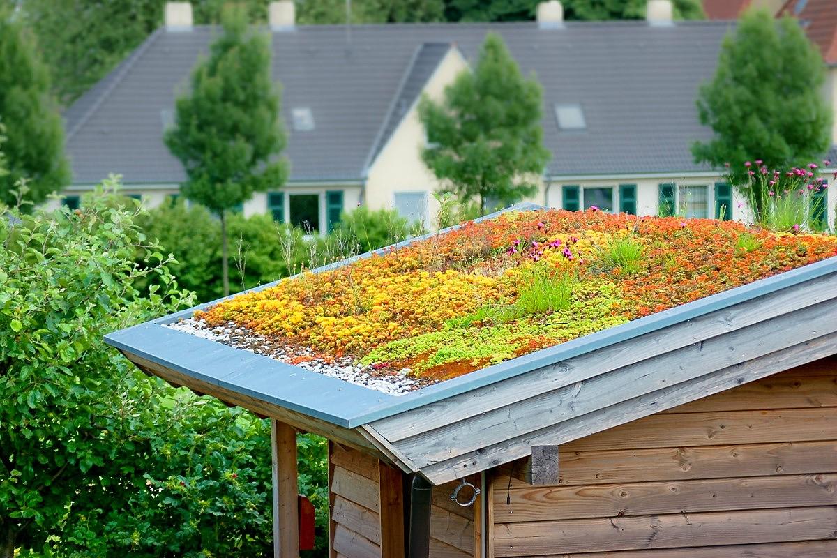 Klimafolgenanpassung - Einladung zur Klimaexkursion in Havixbeck