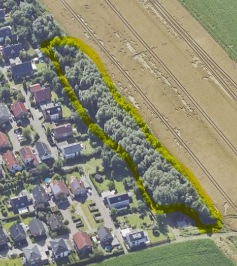 Rückschnitt Hecken, Fällarbeiten und Pflanzungen am Siebenbach