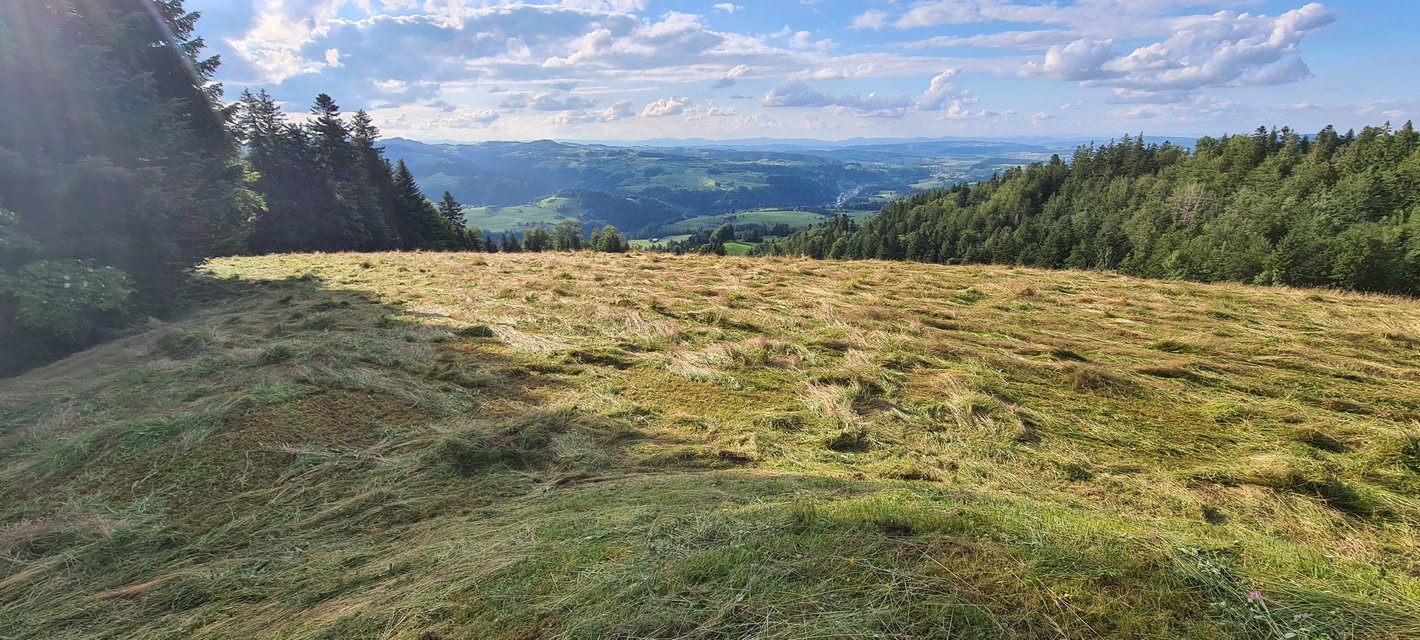 Bild im Zusammenhang mit dem Beitrag