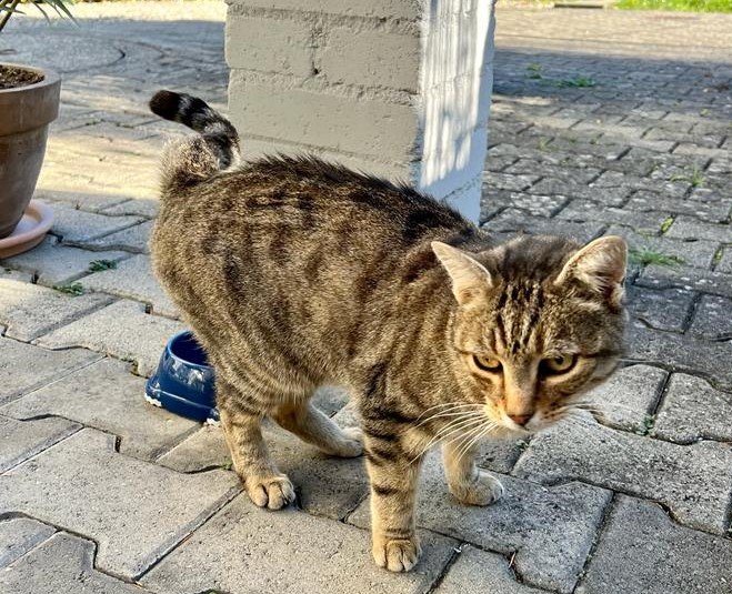 Bild im Zusammenhang mit dem Beitrag