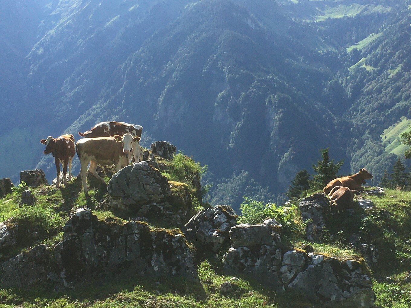 Bild im Zusammenhang mit dem Beitrag