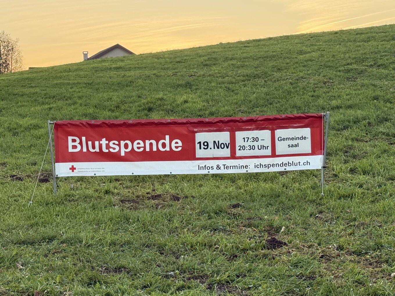 Bild im Zusammenhang mit dem Beitrag