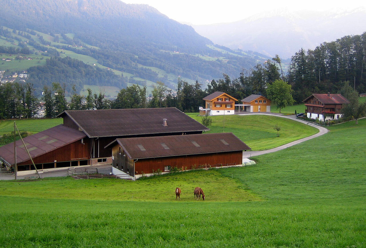 Bild im Zusammenhang mit dem Beitrag