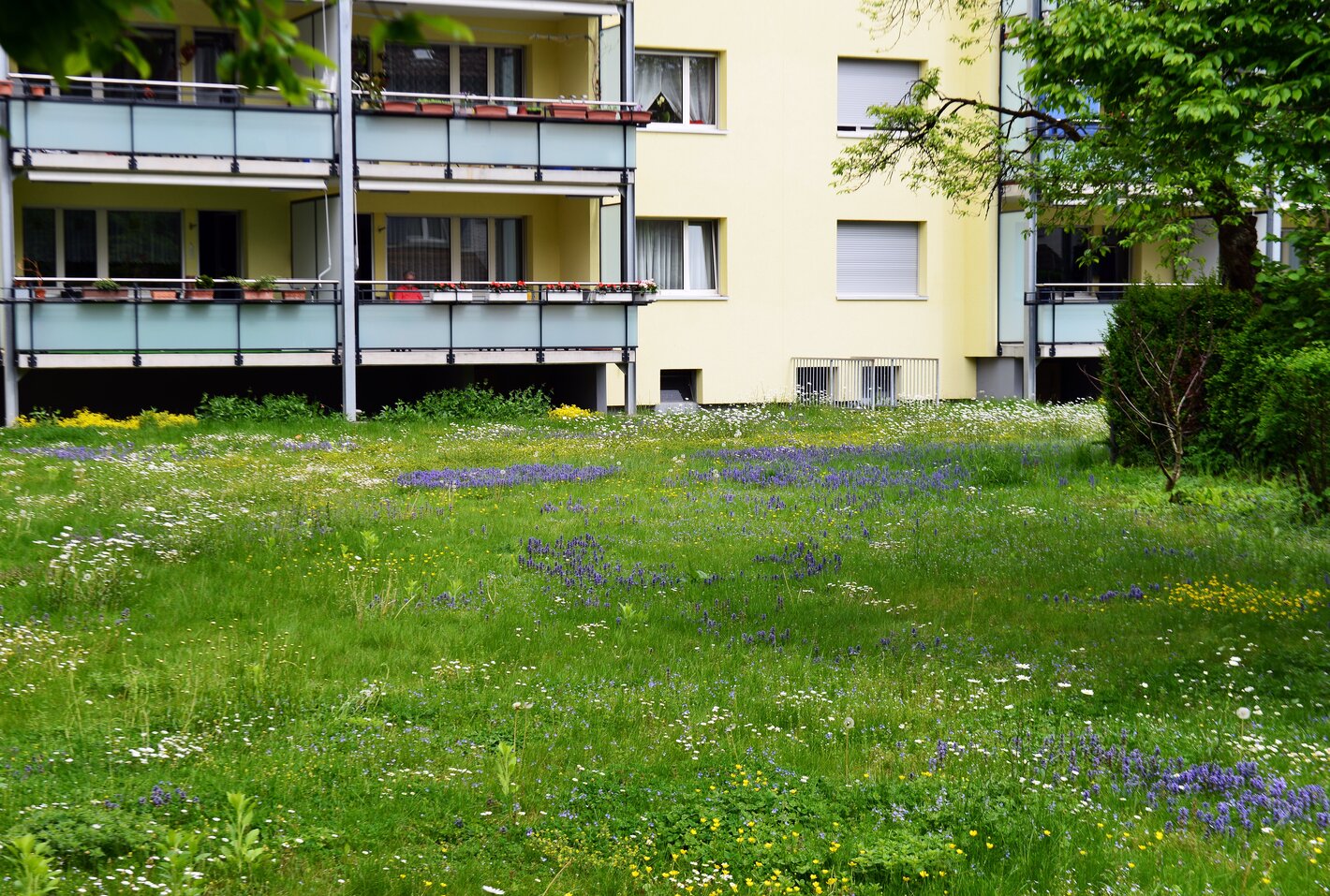 Bild im Zusammenhang mit dem Beitrag