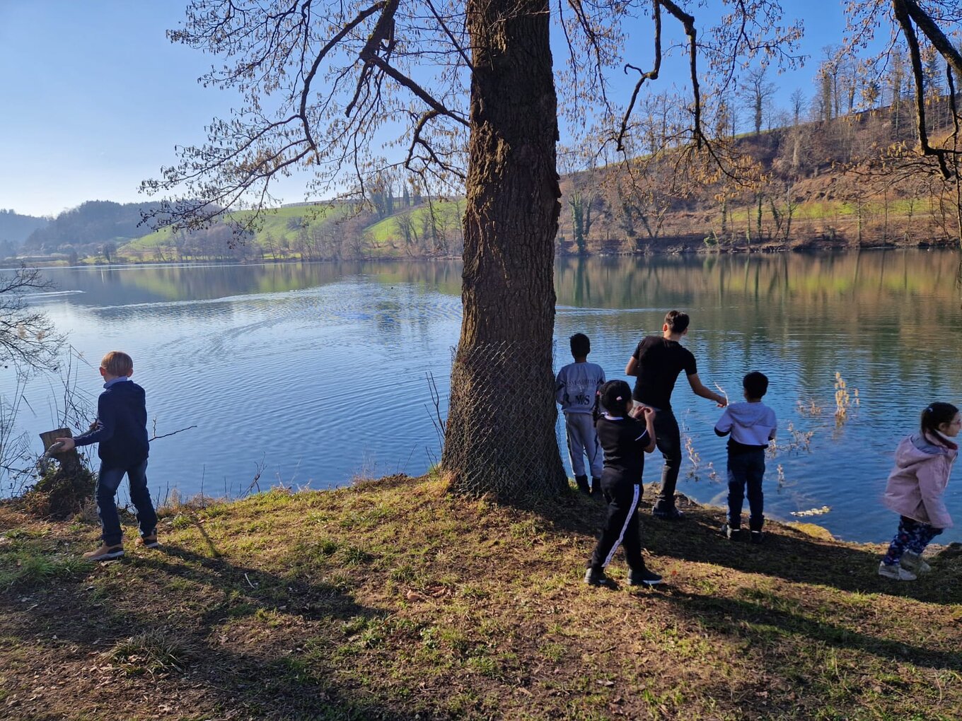 Bild im Zusammenhang mit dem Beitrag