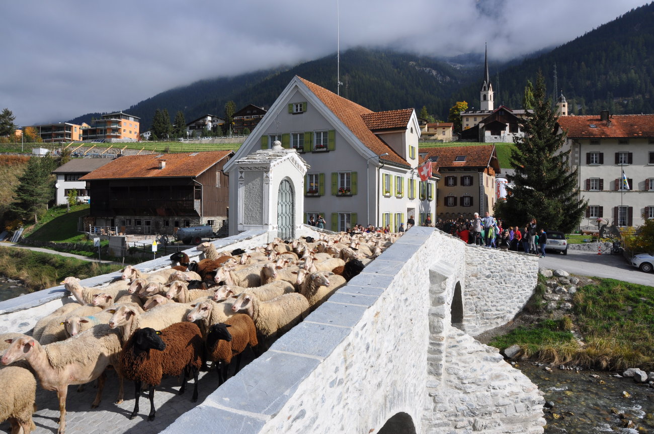 Bild im Zusammenhang mit dem Beitrag