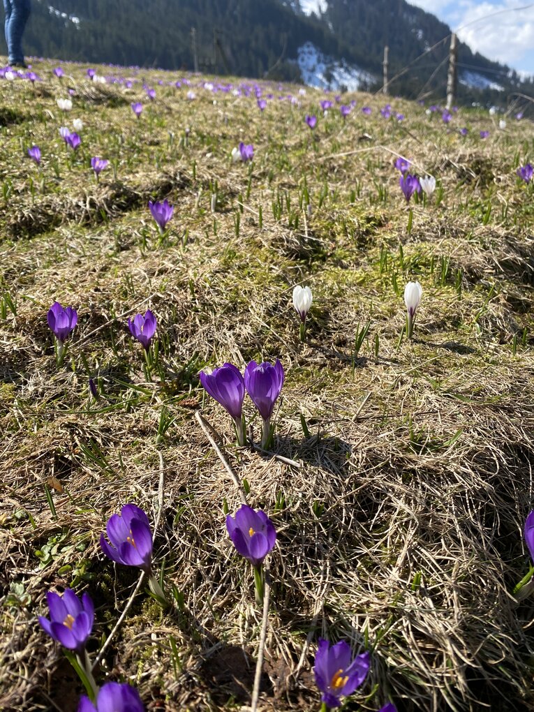 Bild im Zusammenhang mit dem Beitrag