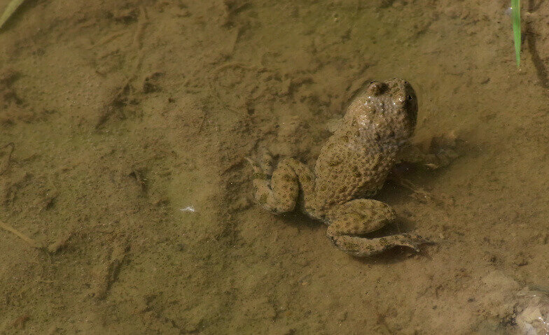 Bild im Zusammenhang mit dem Beitrag