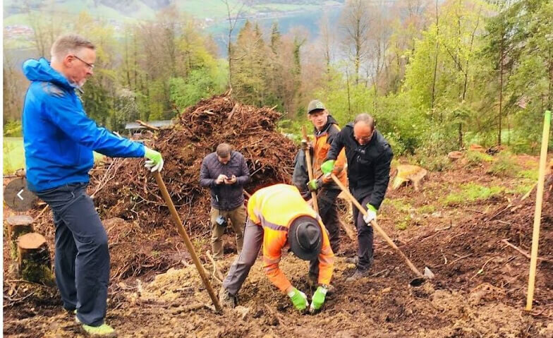 Bild im Zusammenhang mit dem Beitrag