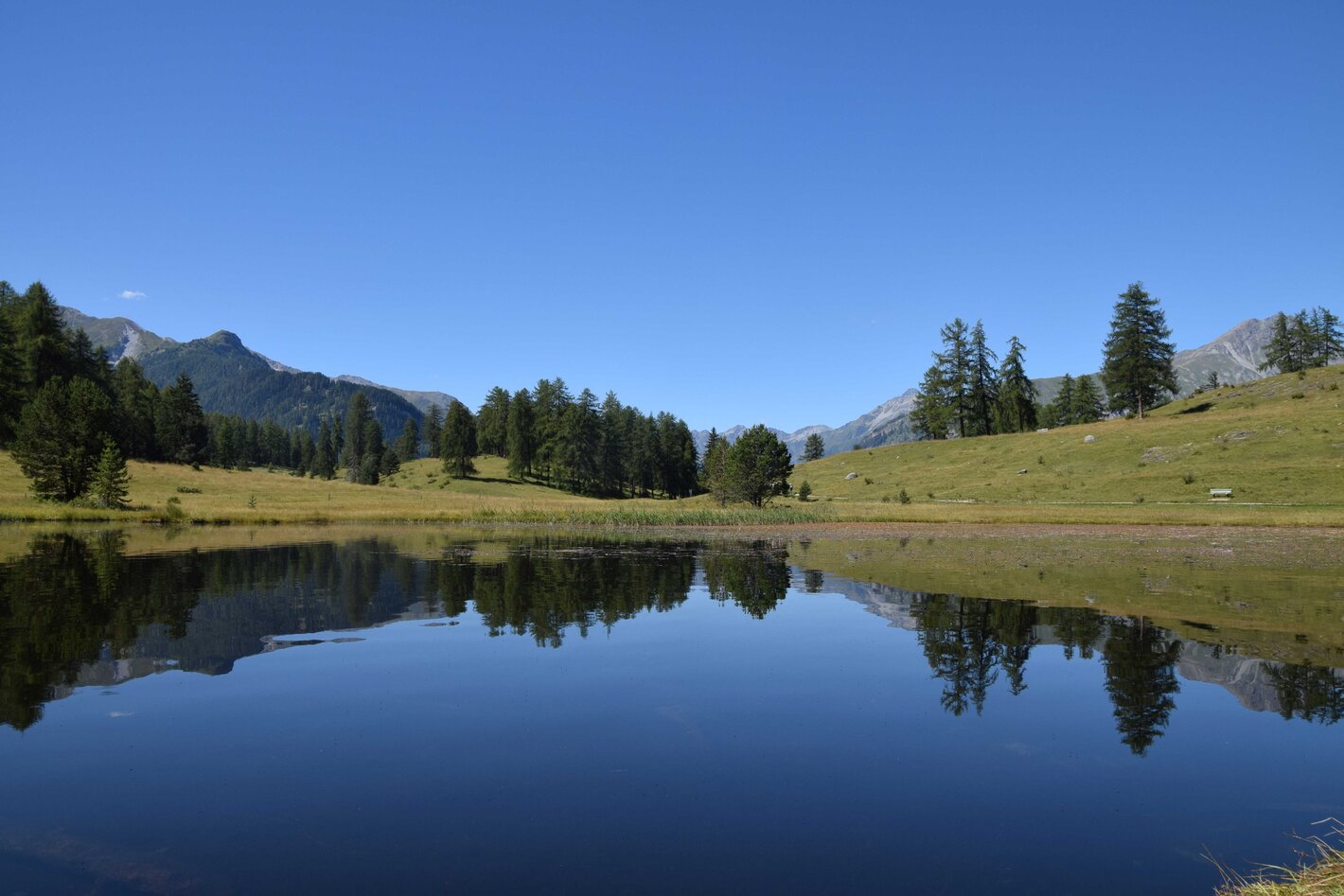 Bild im Zusammenhang mit dem Beitrag