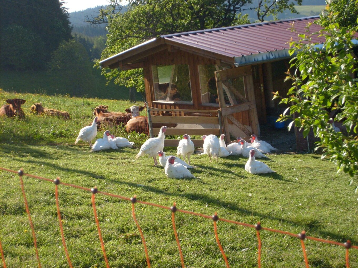 Bild im Zusammenhang mit dem Beitrag