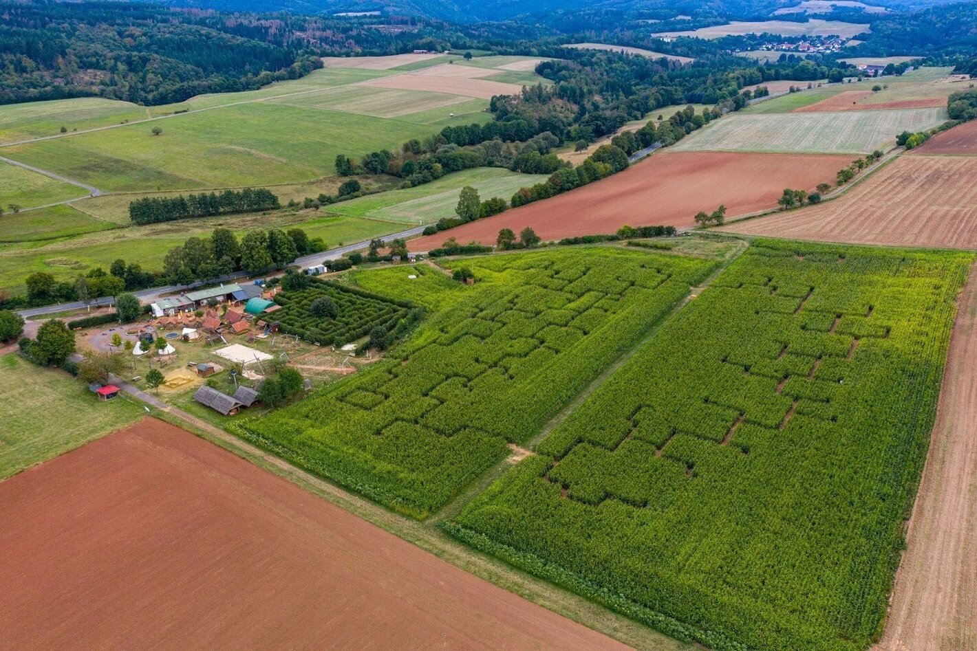 Bild im Zusammenhang mit dem Beitrag