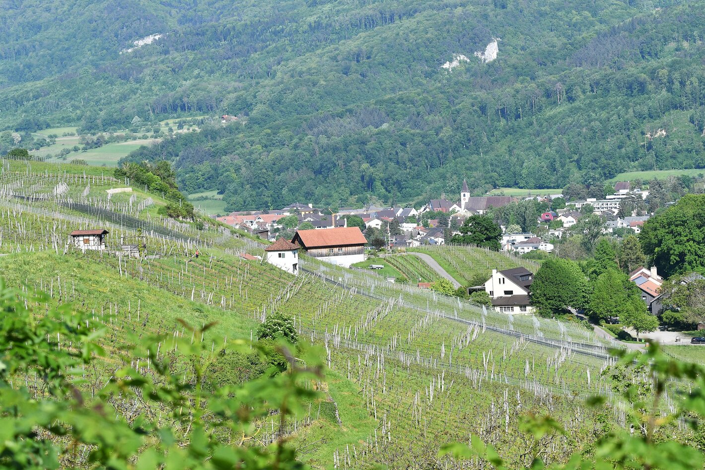 Bild im Zusammenhang mit dem Beitrag