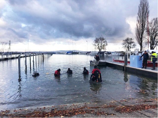 Bild im Zusammenhang mit dem Beitrag