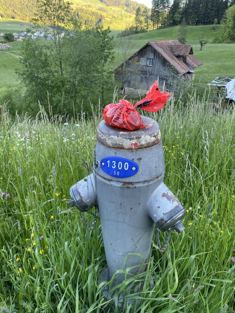 Bild im Zusammenhang mit dem Beitrag