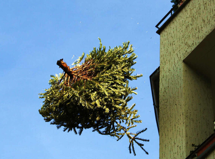 Bild im Zusammenhang mit dem Beitrag