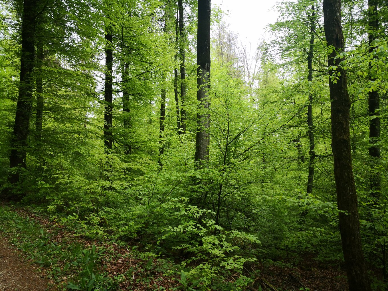 Bild im Zusammenhang mit dem Beitrag