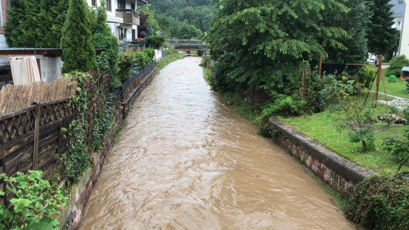 Bild im Zusammenhang mit dem Beitrag