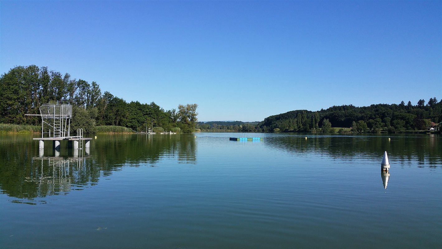 Bild im Zusammenhang mit dem Beitrag