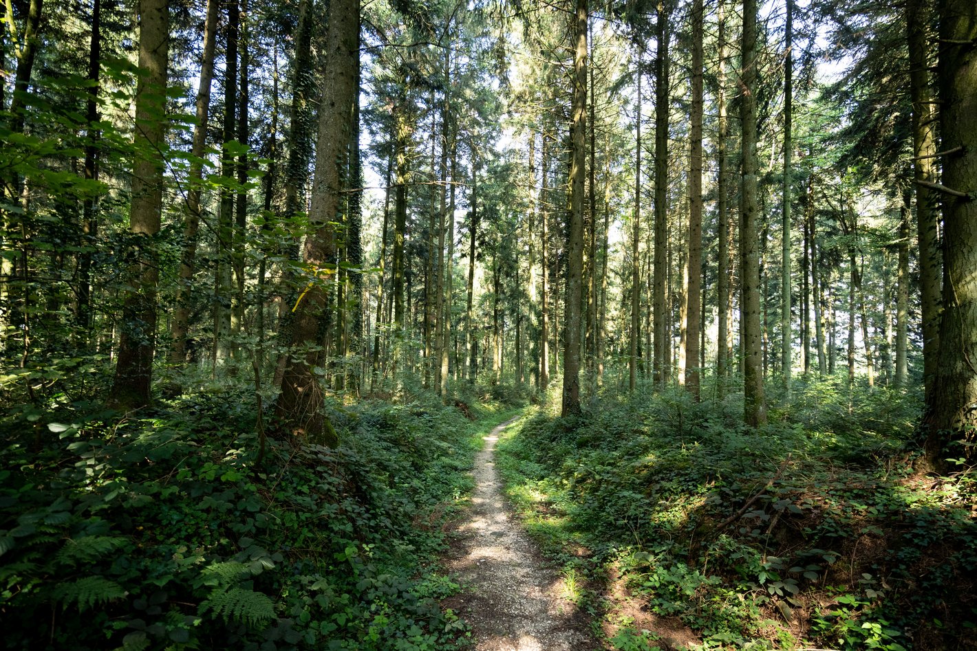 Bild im Zusammenhang mit dem Beitrag