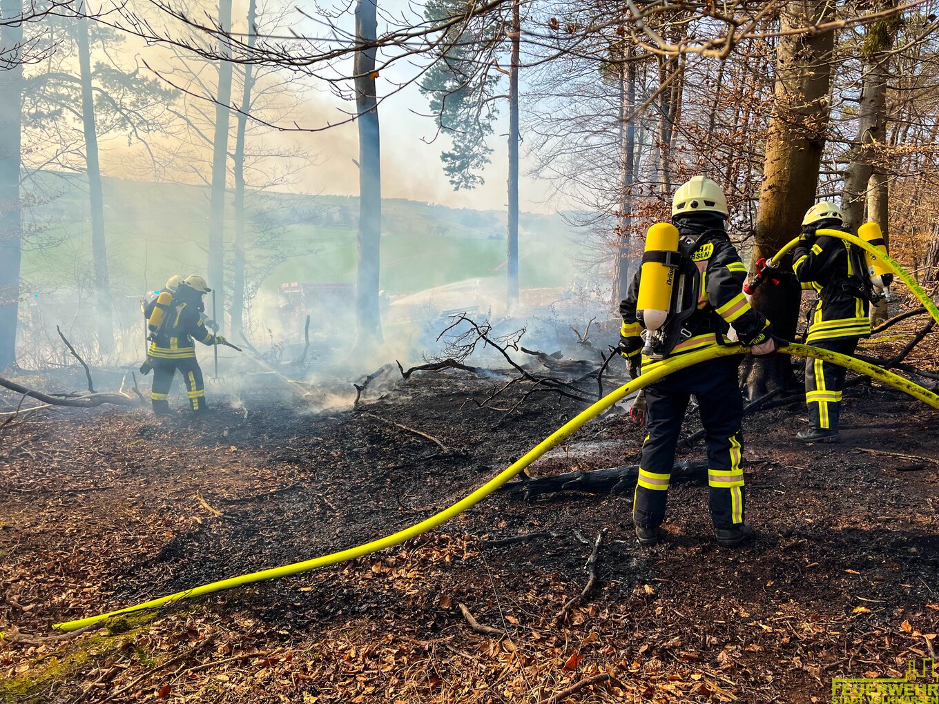 Bild im Zusammenhang mit dem Beitrag