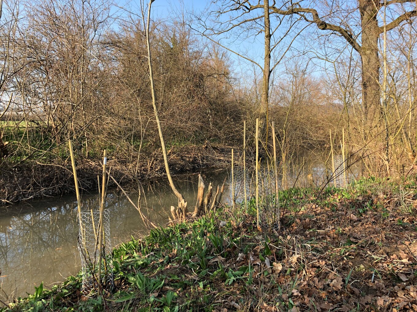 Bild im Zusammenhang mit dem Beitrag