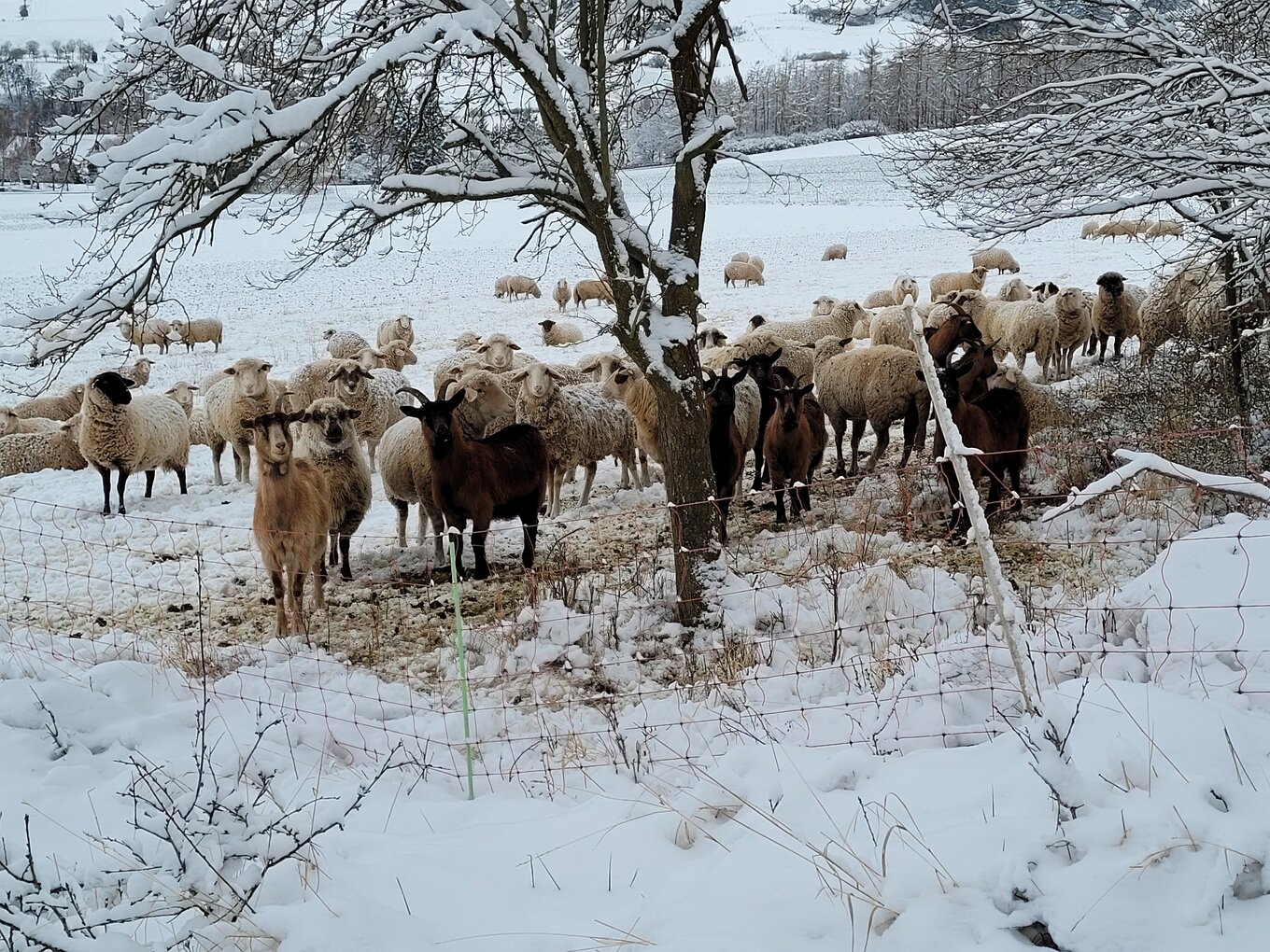 Bild im Zusammenhang mit dem Beitrag