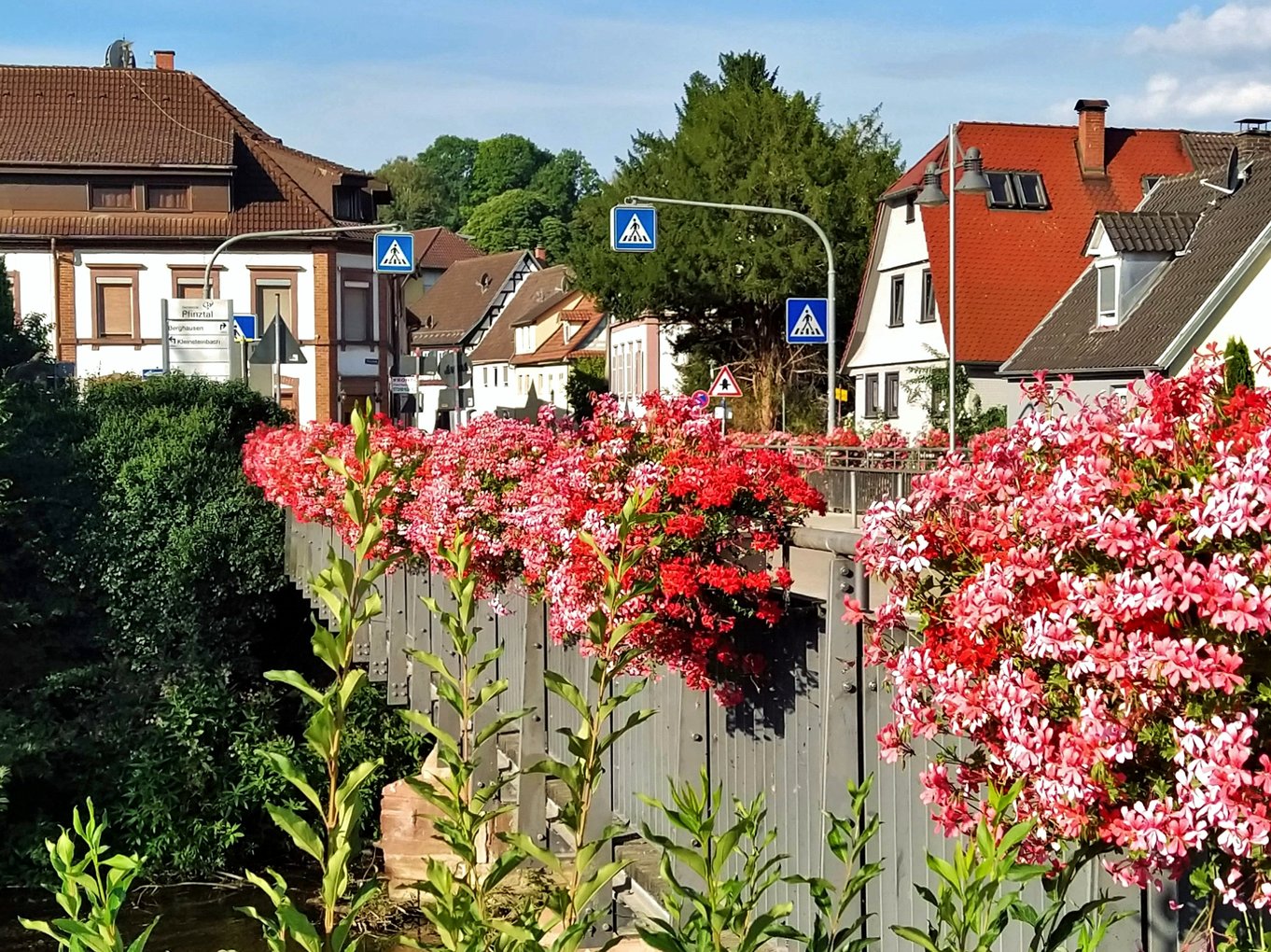 Bild im Zusammenhang mit dem Beitrag