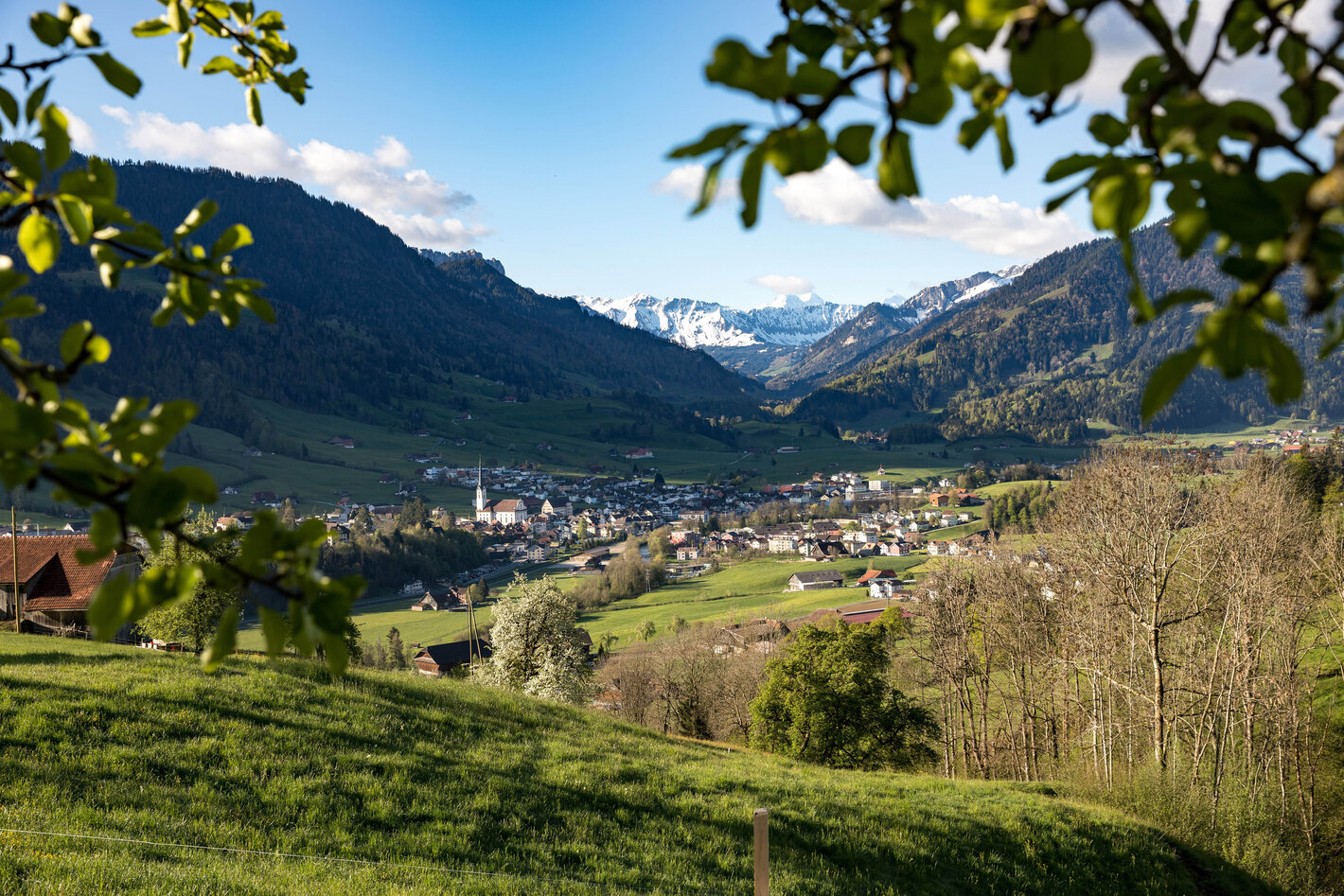 Bild im Zusammenhang mit dem Beitrag