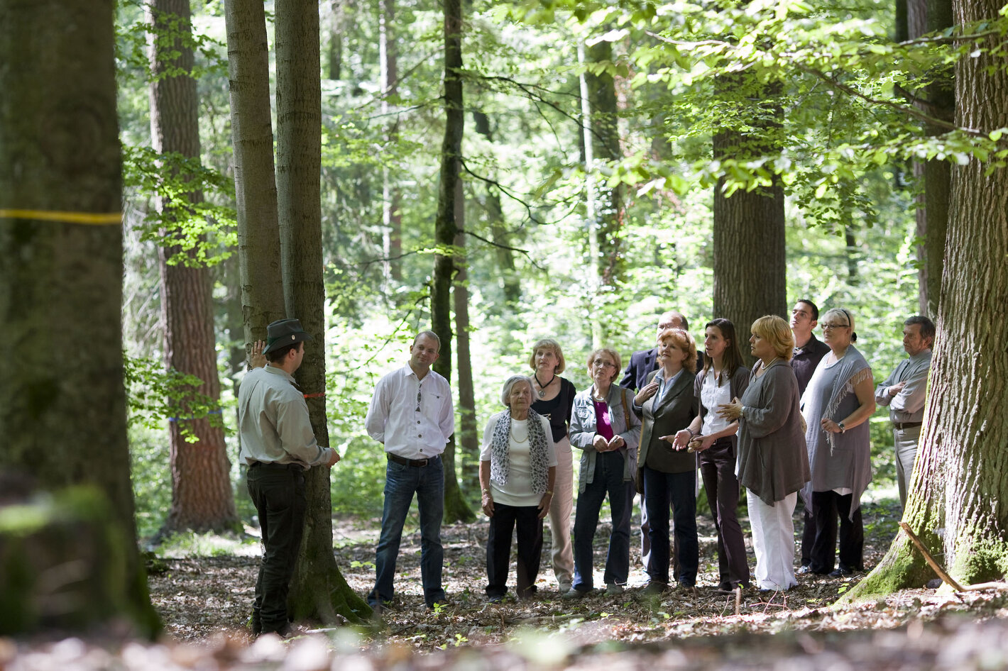 Bild im Zusammenhang mit dem Beitrag