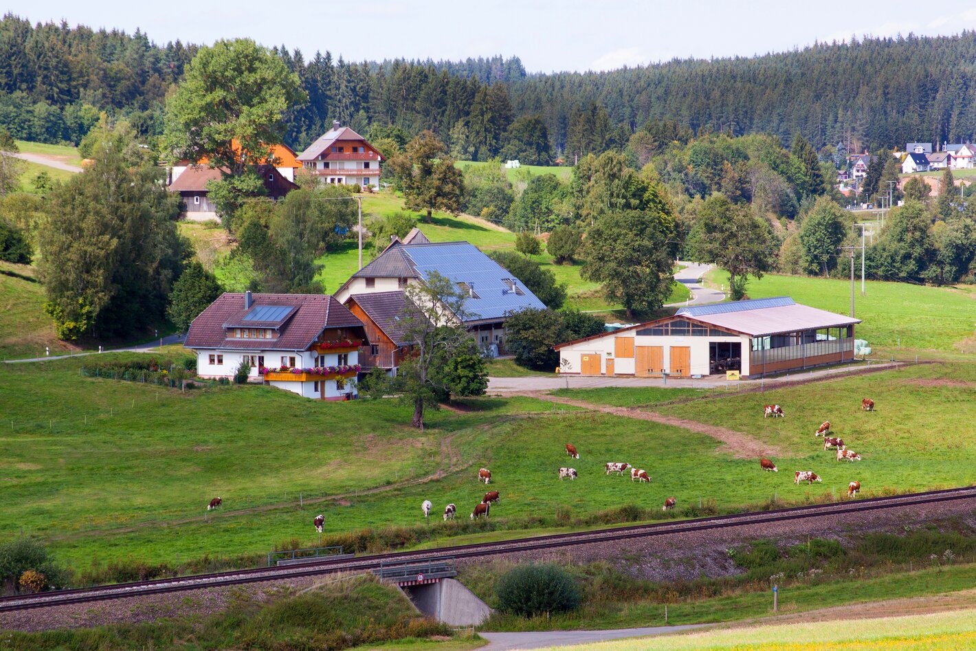 Bild im Zusammenhang mit dem Beitrag