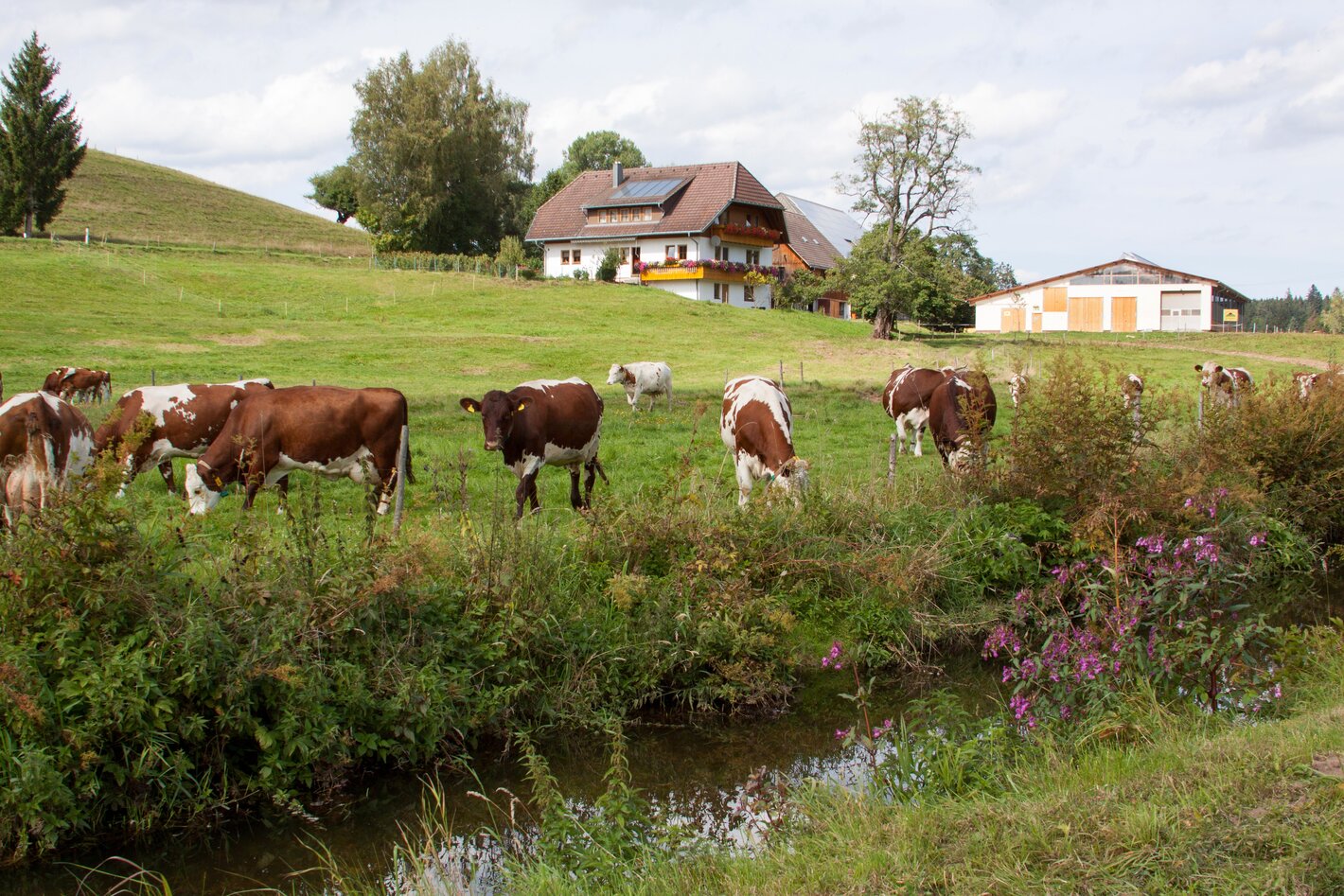 Bild im Zusammenhang mit dem Beitrag