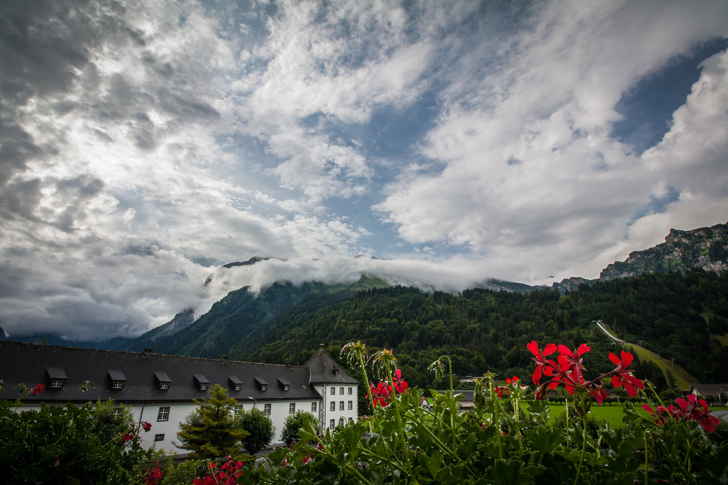 Bild im Zusammenhang mit dem Beitrag