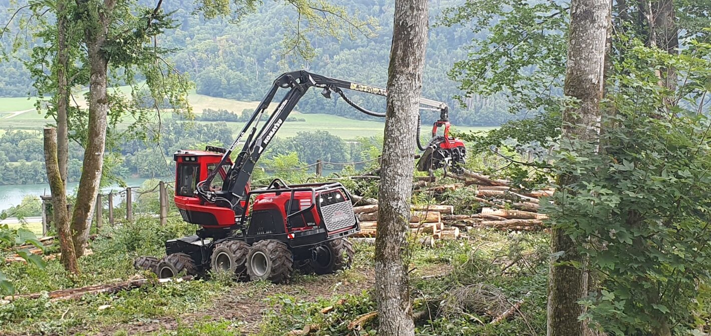 Bild im Zusammenhang mit dem Beitrag