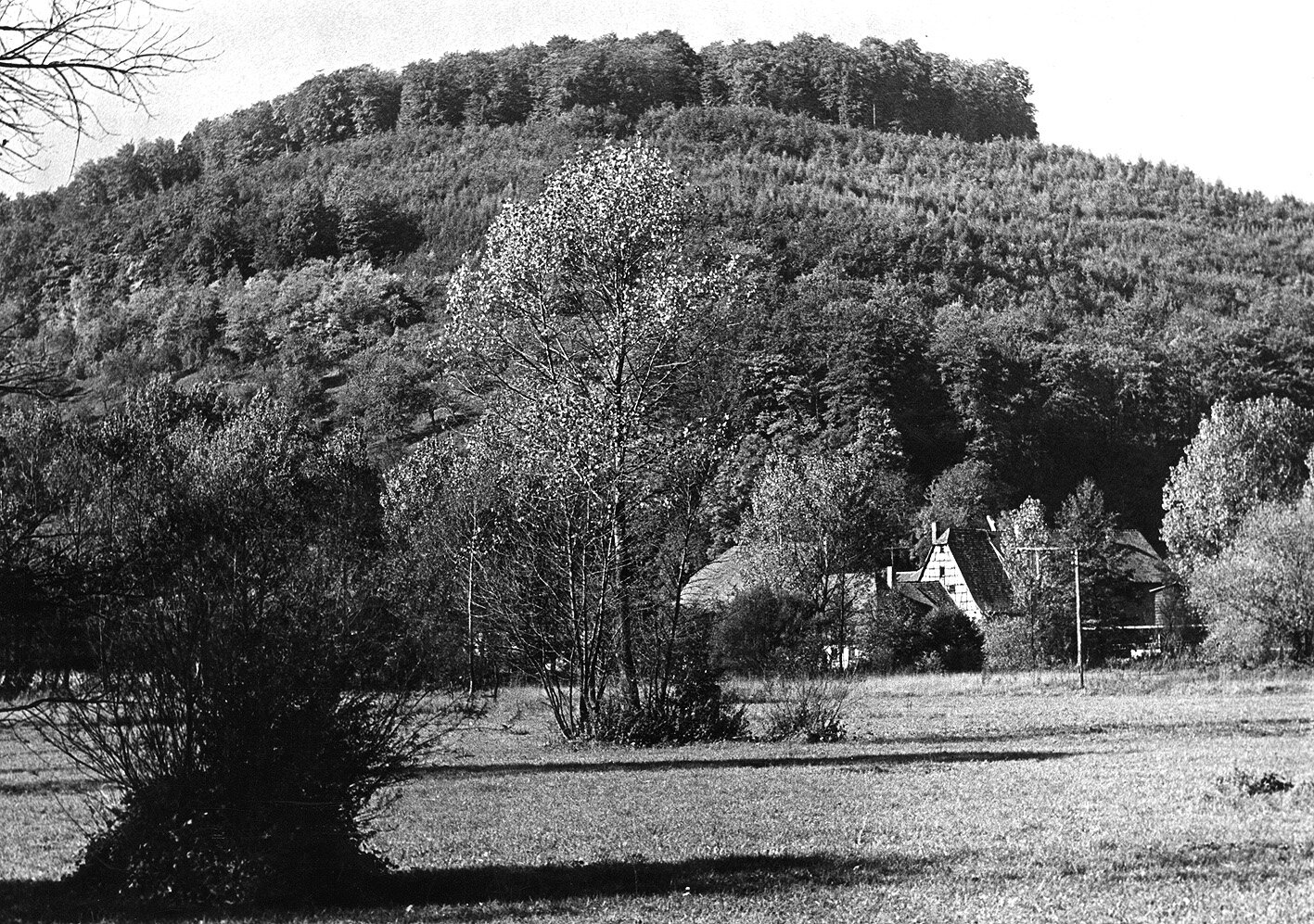 Bild im Zusammenhang mit dem Beitrag