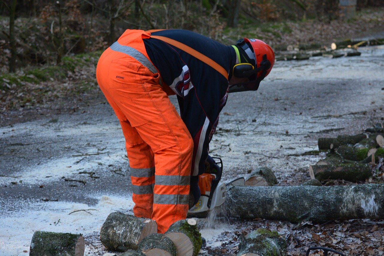 Bild im Zusammenhang mit dem Beitrag