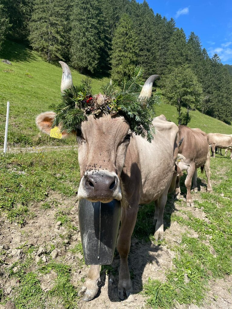 Bild im Zusammenhang mit dem Beitrag